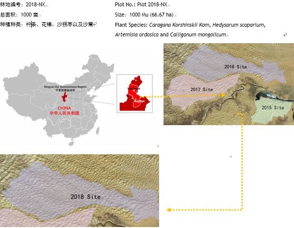 百万植树计划宁夏项目2018年林地示意图  Map of the Million Tree Project Ningxia Forest of Year 2018 